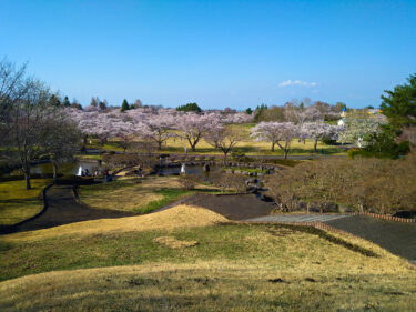 八戸公園（こどもの国・八戸植物公園）